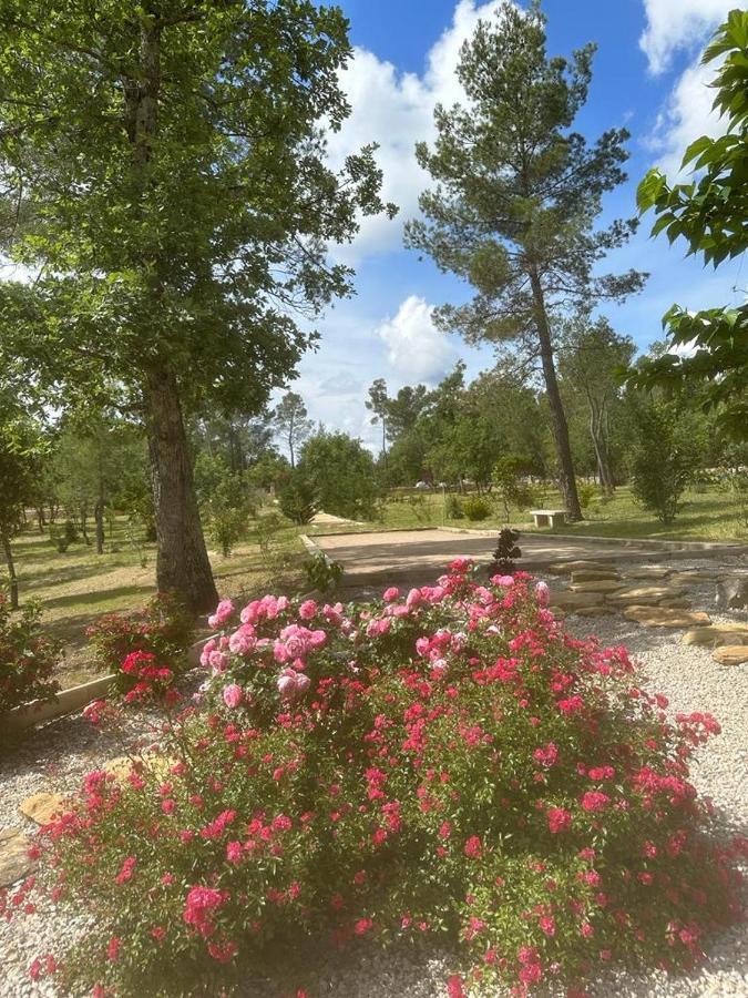 Superbe Villa Seillans La Grande Bastide Avec Piscine, Jardin, Climatisation Et Salle De Sport Екстер'єр фото
