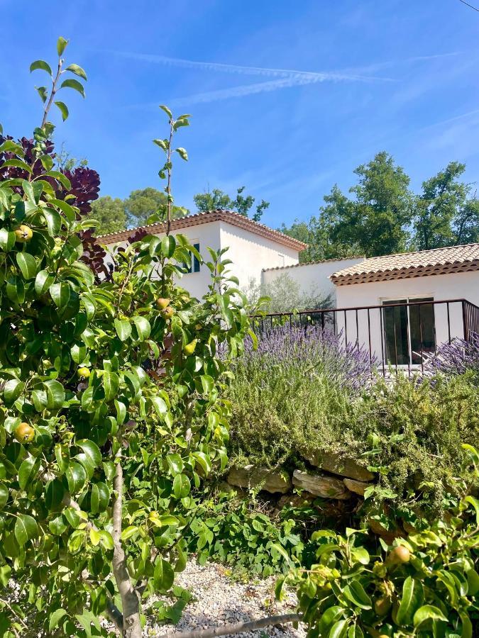 Superbe Villa Seillans La Grande Bastide Avec Piscine, Jardin, Climatisation Et Salle De Sport Екстер'єр фото