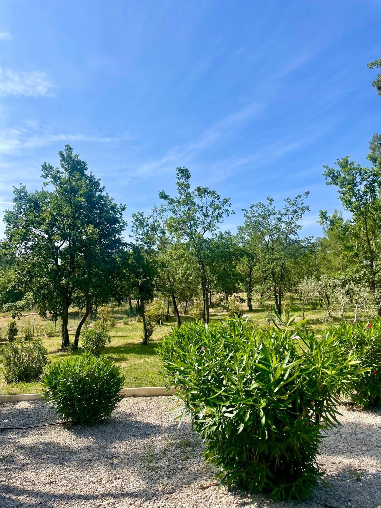 Superbe Villa Seillans La Grande Bastide Avec Piscine, Jardin, Climatisation Et Salle De Sport Екстер'єр фото