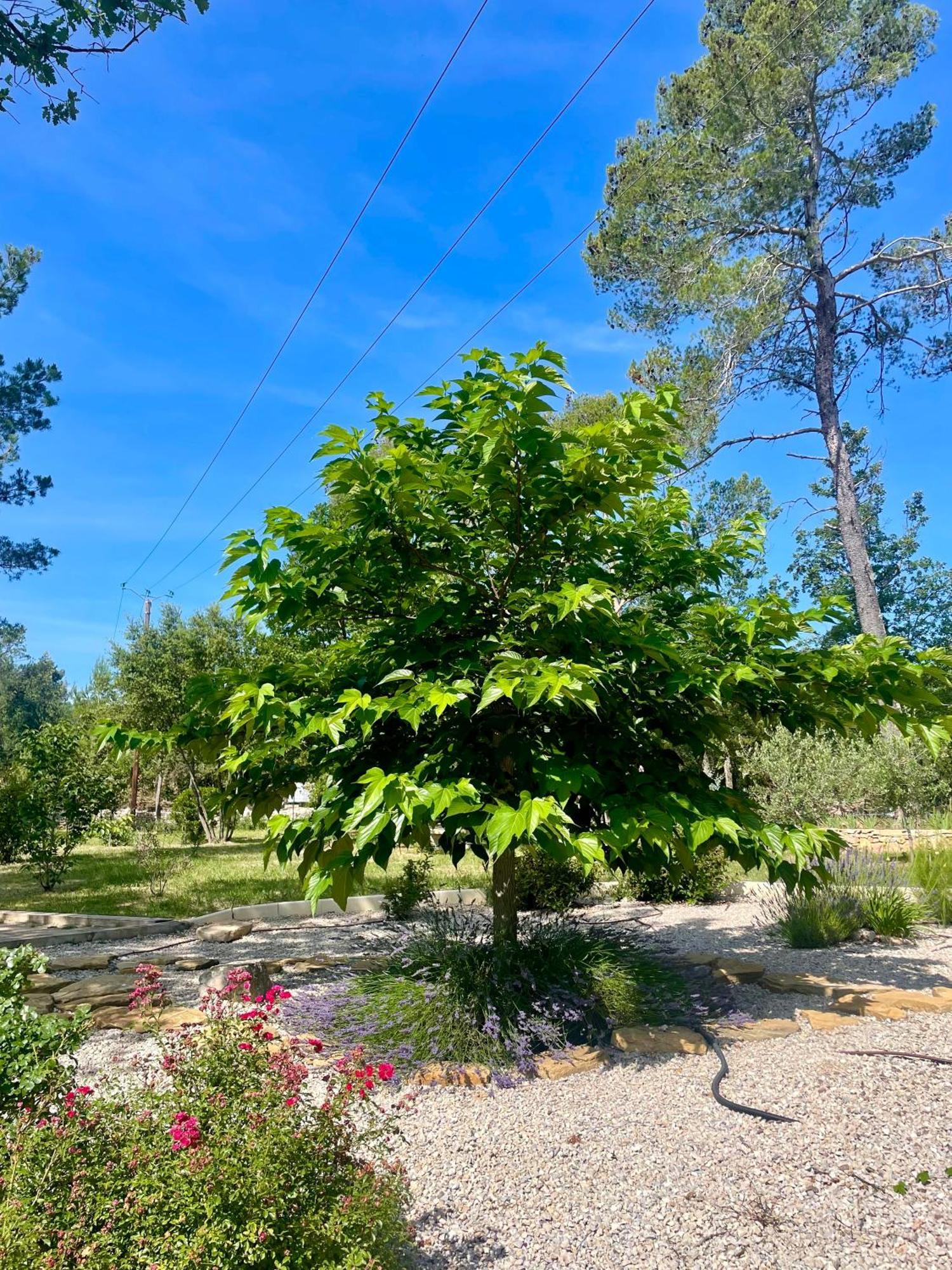 Superbe Villa Seillans La Grande Bastide Avec Piscine, Jardin, Climatisation Et Salle De Sport Екстер'єр фото