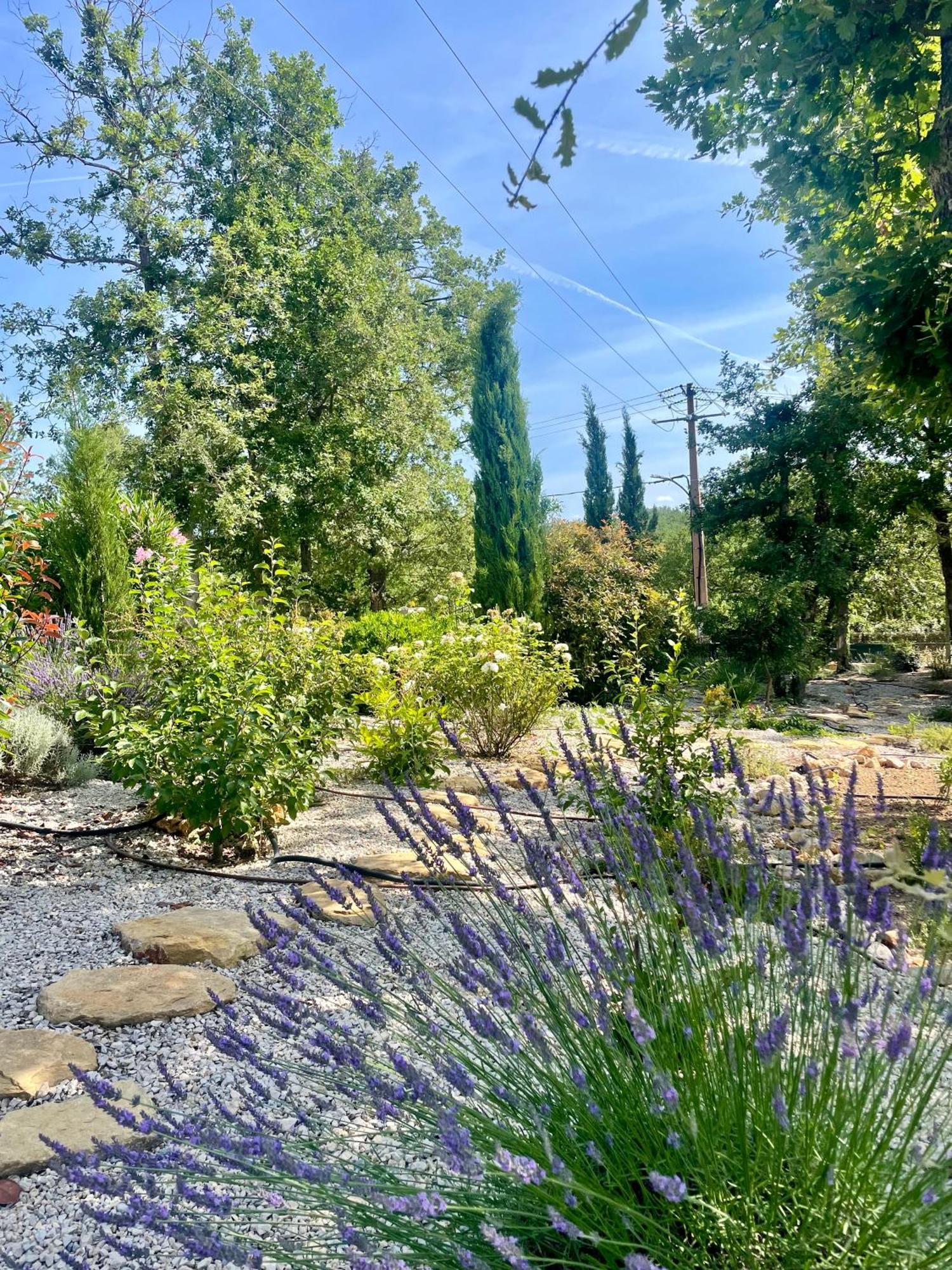 Superbe Villa Seillans La Grande Bastide Avec Piscine, Jardin, Climatisation Et Salle De Sport Екстер'єр фото