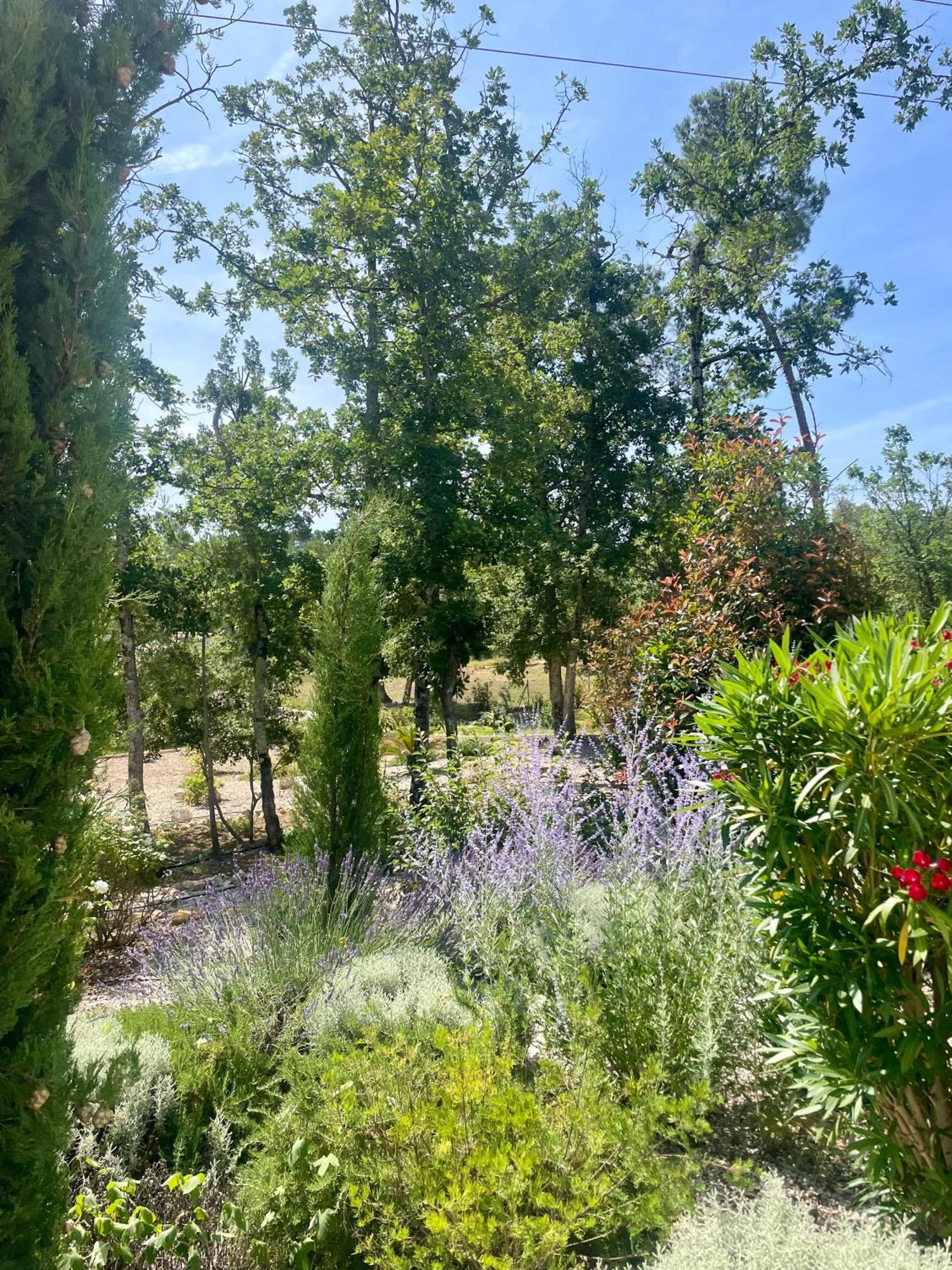 Superbe Villa Seillans La Grande Bastide Avec Piscine, Jardin, Climatisation Et Salle De Sport Екстер'єр фото