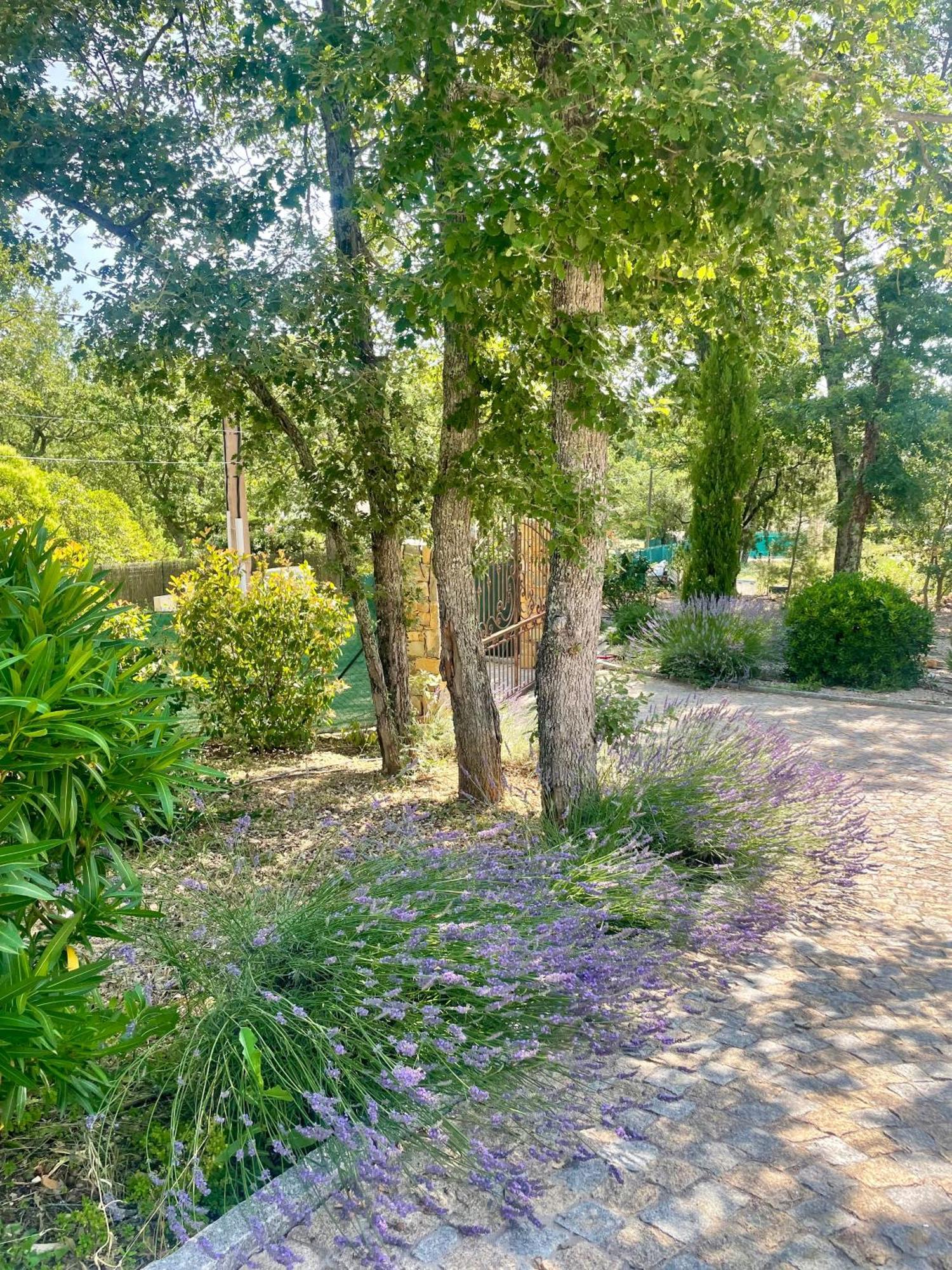 Superbe Villa Seillans La Grande Bastide Avec Piscine, Jardin, Climatisation Et Salle De Sport Екстер'єр фото